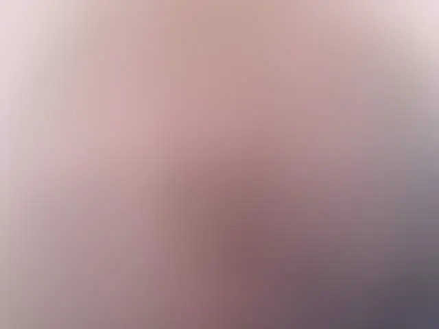 Schönundfrech image 3